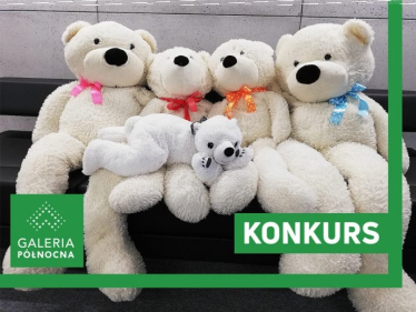 Warszawa: Konkurs "Misie do adopcji"
