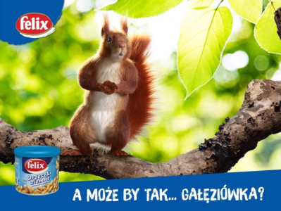 Konkurs "Majówka? Nie, gałęziówka"