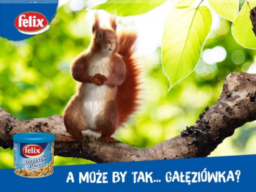 Konkurs "Majówka? Nie, gałęziówka"