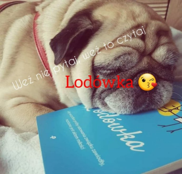 Wygraj książkę Moniki Chmielarczyk "Lodówka"