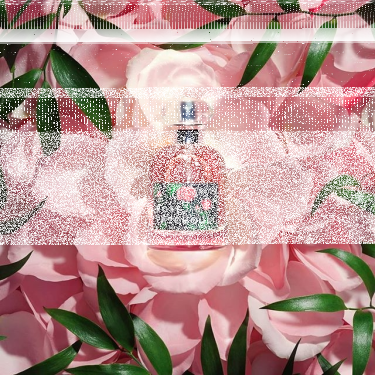 Wygraj 1 z 5 pakietów startowych na RossmannRun