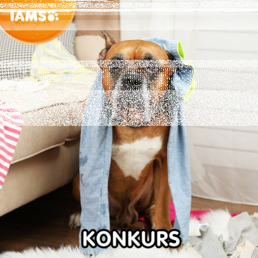 Konkurs plastyczny "Zaprojektuj wnętrze z lampą Creation"