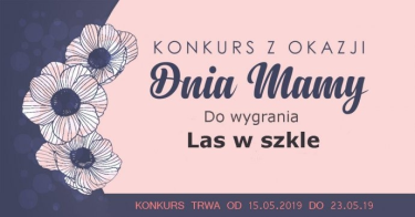Konkurs "Las w szkle"