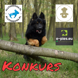 Konkurs fotograficzny "Majowe szaleństwo"