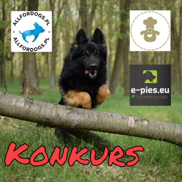 Konkurs fotograficzny "Majowe szaleństwo"