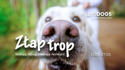 Konkurs "Młody i promienny wygląd każdego dnia"