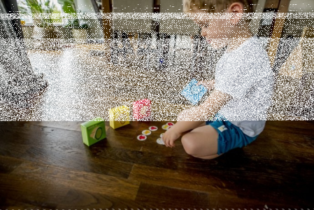 Konkurs "Ubierz lamę i surykatkę"