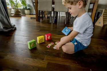 Konkurs "Ubierz lamę i surykatkę"