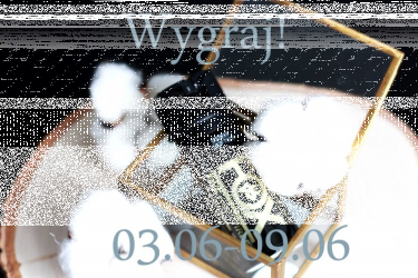 Wygraj gaz pieprzowy Fox Labs