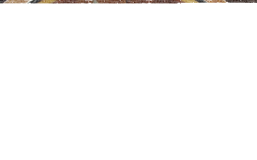 Wygraj książkę "Indygo" Michała Jana Chmielewskiego