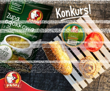 Konkurs "Wakacje z Profi"