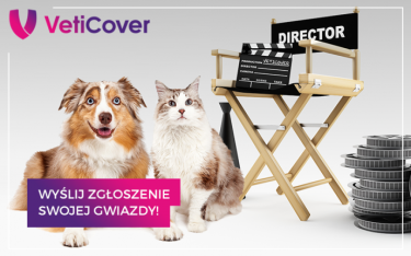 Konkurs fotograficzny "Veticover szuka zwierzęcych gwiazd"
