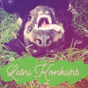 Konkurs fotograficzny "Wakacje z pupilem"