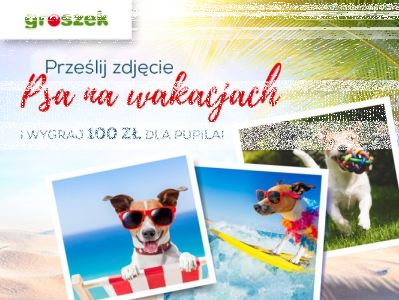 Konkurs fotograficzny "Pies na wakacjach"