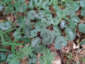 Konkurs "Świętokrzyski Park Narodowy, lipiec 2019"