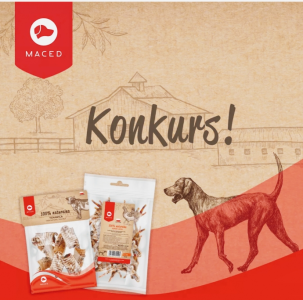 Konkurs z okazji Dnia Psa
