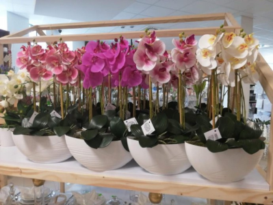 Konkurs "Udostępnij post i wygraj STORCZYK"