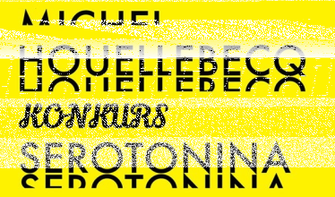 Wygraj egzemplarze powieści "Serotonina" Michela Houellebecqa!