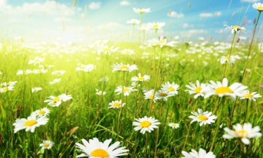 Konkurs "Bajeczna Polska - Podróże z Funduszami"