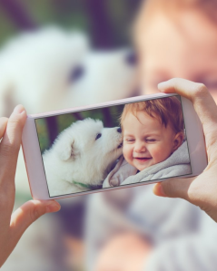 Wielki urodzinowy konkurs Zooplus