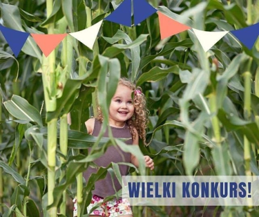 Darłowo: Wygraj wejściówki do LABIRYNTU ARENA