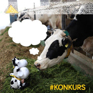 Konkurs "O czym muuucze?"