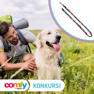 Konkurs "Zwiedzanie z pupilem"