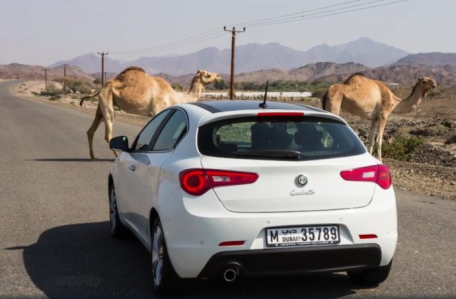 Wakacyjny konkurs Moto