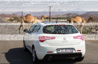 Wakacyjny konkurs Moto