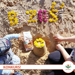 Konkurs fotograficzny "Wakacje z Brześciem"