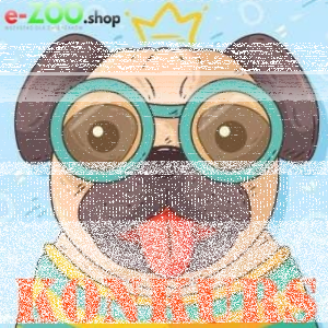 Wakacyjny konkurs fotograficzny