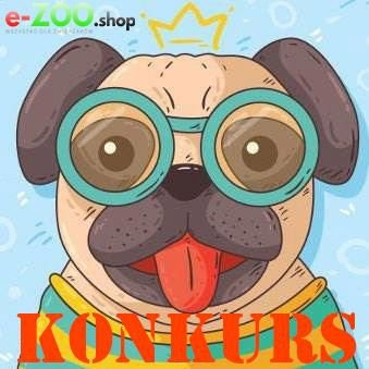 Wakacyjny konkurs fotograficzny