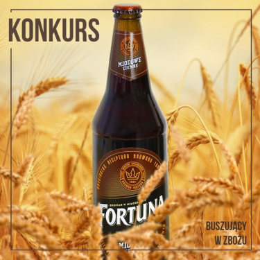 Konkurs "Fortuna, kamera, akcja"