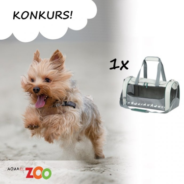 Konkurs fotograficzny "Zabawa na plaży"