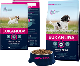 Zaufane Opinie o produktach marki Eukanuba