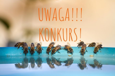 Konkurs "Sierpień miesiącem pszczół"