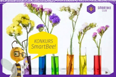Konkurs fotograficzny z SmartBee Club