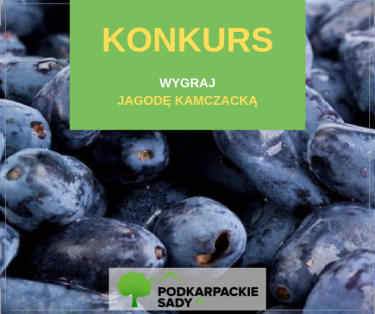 Konkurs fotograficzny: Wygraj sadzonkę jagody kamczackiej do ogrodu