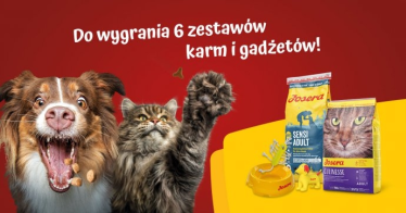 Konkurs "Zrób Zdjęcie Zwierzaka 2019"