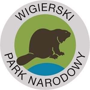 Suwałki: Wygraj podwójne wejściówki na rejs łodzią