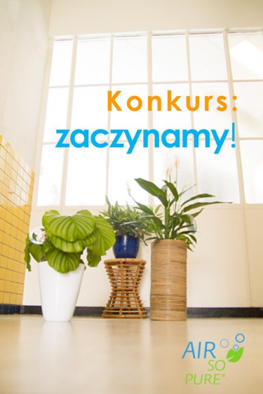 Wygraj rośliny od Air So Pure! do godz. 9:00