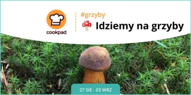 Konkurs "Idziemy na grzyby"