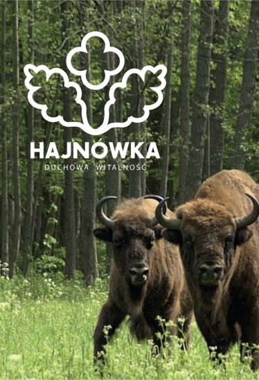 Konkurs na znak graficzny "Hajnówka OdNowa"