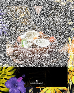 Konkurs "Pokaż na zdjęciu, że ORIENTANA to ty!"