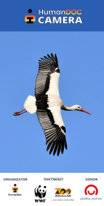 Konkurs "HumanDOC Camera 2019"