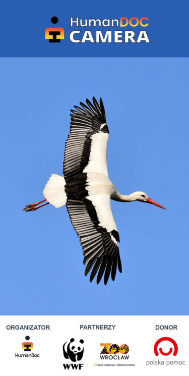 Konkurs "HumanDOC Camera 2019"