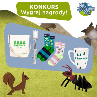 Konkurs "Mali Zdobywcy Gór"