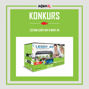 Konkurs "Akwarium uczy"