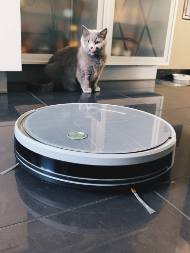 Konkurs "Mamibot Grey za złotówkę"