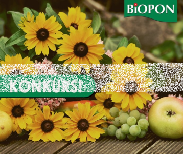 Konkurs fotograficzny "Wrześniowy ogród"